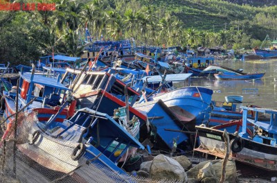 Cơn bão đi qua miền Trung lại oằn mình